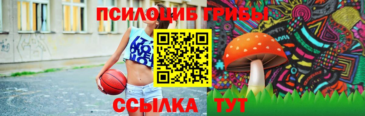 Псилоцибиновые грибы Psilocybine cubensis Боровичи